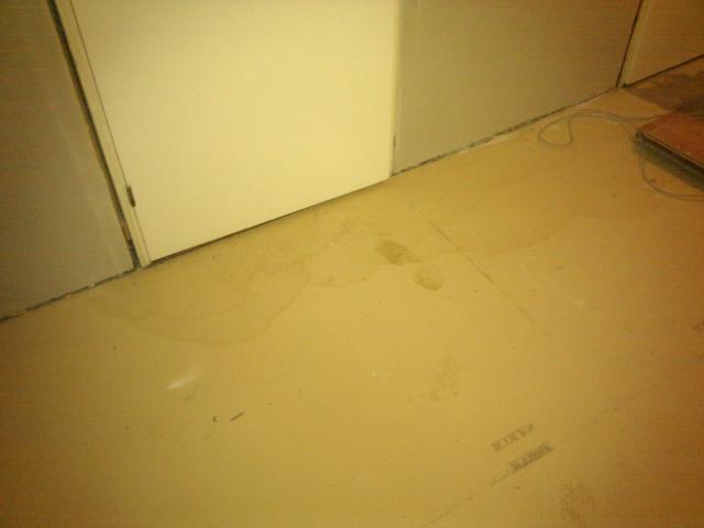 IMG_20111128_064636.jpg