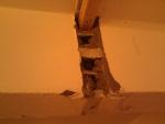 IMG_20111030_155851.jpg