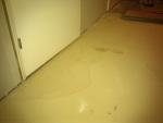 IMG_20111128_064652.jpg