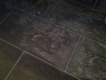 IMG_20120127_131352.jpg